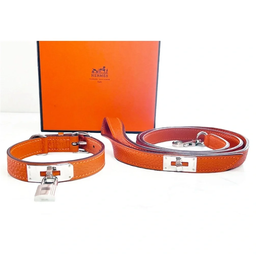 Hermes Orange Pet Collar and Leash Set - Picture 1 of 16